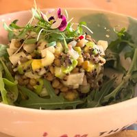 My FAVORITE! Lentil seviche!   at Café Libertad in Mexico City
