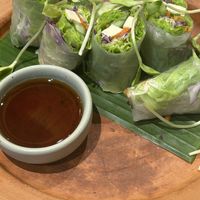 Fresh spring rolls with tofu  at Ginger Farm Kitchen in Phuket
