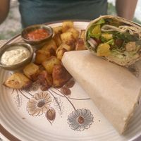 Teriyaki Tempeh Wrap   at Ojas Vegan & Vegetarian Eatery in Siem Reap