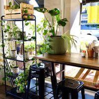 Interior of cafe at The Pearfect Pantry in Osbourne Park