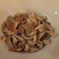 Vegan pasta with mushrooms at Bravo Caffè in Bologna