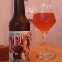 Local IPA at Let It Be in Berlin