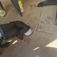  at Spring Valley Coffee in Nairobi