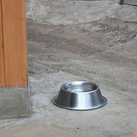  at Spring Valley Coffee in Nairobi