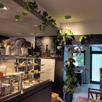  at Klein Wohlig in Schwetzingen