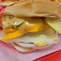 Fancy at FACE PLANT in Portland