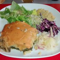 Vegan plate of the day at Le Bistrot de l'ile in Nantes