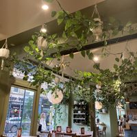   at Hot Toddy in Edinburgh