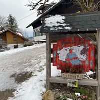 Back at Wohlfühlhof Zeh e.V. - Lebenshof für Tiere & Ferienhof in Waltenhofen