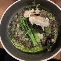 Lentil curryy  at Bardus Bistro & Bar in Tromsoe