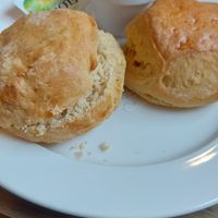 Cream tea at Blinis Cafe Bar  in Sidmouth