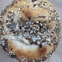 Everything bialy   at Hey Bagel  in Seattle