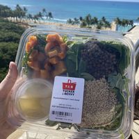 Fresh Salad at Tucker and Bevvy in Honolulu