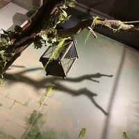   at Sustainaboule in Stockholm