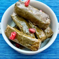 Vine leaves at AOC in Dubai