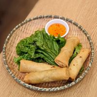 Vegan Thai Crispy Spring Roll at Sanook Kitchen - Woods Square in North Singapore
