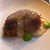  at Det Glade Vanvid in Aalborg