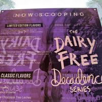 Dairy free decadence series  at Salt & Straw - Wynwood in Miami