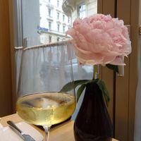 lovely interior and ambiance at TIAN Bistro Kunsthaus in Vienna