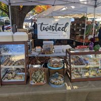 #Veganuary at Twisted in Amherst