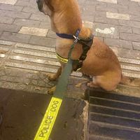  at Nhà Hàng Chay Tathata - Vegan Restaurant in Da Nang