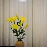  at Nhà Hàng Chay Tathata - Vegan Restaurant in Da Nang