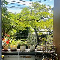  at Nhà Hàng Chay Tathata - Vegan Restaurant in Da Nang