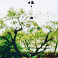  at Nhà Hàng Chay Tathata - Vegan Restaurant in Da Nang