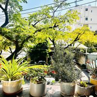  at Nhà Hàng Chay Tathata - Vegan Restaurant in Da Nang