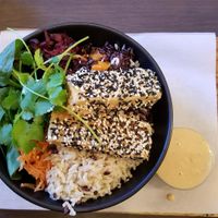 Super Food bowl with ginger & peanut sauce ~ Very good! at Vudu Cafe and Larder in Queenstown