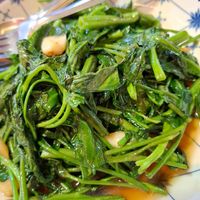 Morning glory at Mom's Kitchen in Krabi