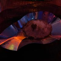 „Oysters“ at Lokaal Tilk in Tallinn