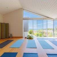 Yoga Studio #Veganuary at DELTA - Vegan Retreat in West Wittering