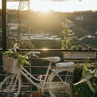 Be friend with nature at Book Coffee - Dalat Harmony Garden in Da Lat