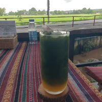  at Baanrainaifun Organic Garden in Chiang Mai