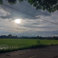  at Baanrainaifun Organic Garden in Chiang Mai