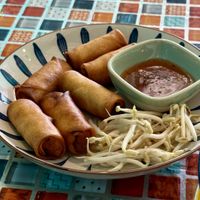 Fried spring rolls  at Aurora Vegan Khao Soi Restaurant in Pai