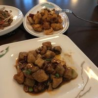   at Tofu Vegan - Gloucester Rd in South West London