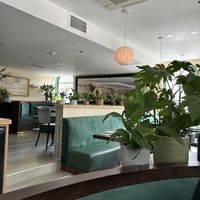   at Tofu Vegan - Gloucester Rd in South West London