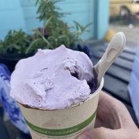 ube gelato with ube whipped cream  at Davvero Gelato in Richmond