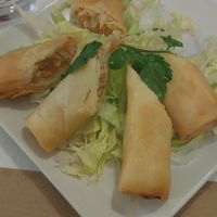 Spring rolls #Veganuary at Thai Zwei Drei Restaurant in Carezza