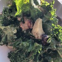 The Kale  at Falora in Tucson