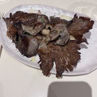   at La Papa in Barcelona