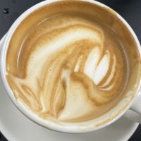 LOF  at Haven Barangaroo  in Barangaroo