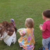 ThanksLiving is awesome at the sanctuary! at CJ Acres Animal Rescue Farm in Keystone Heights