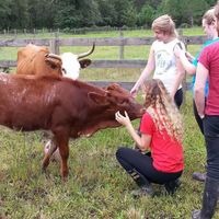 Attending an "Animal Caregiving" volunteer session is incredible. Check out opportunities at cjacres.org at CJ Acres Animal Rescue Farm in Keystone Heights