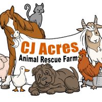 CJ Acres Animal Rescue Farm exists to reduce animal suffering among in-need animals. We rescue abused, abandoned, or neglected animals across the United States. Find out more at www.cjacres.org at CJ Acres Animal Rescue Farm in Keystone Heights