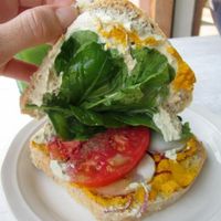 Vegan sandwich at Mercado Verde in Punta Del Este