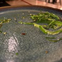 Wakame (sorry--took the photo a bit too late!) at Iry Ramen in Klagenfurt