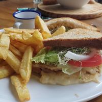 Club sandwich at Te Quiero Verde in San Cristobal De Las Casas